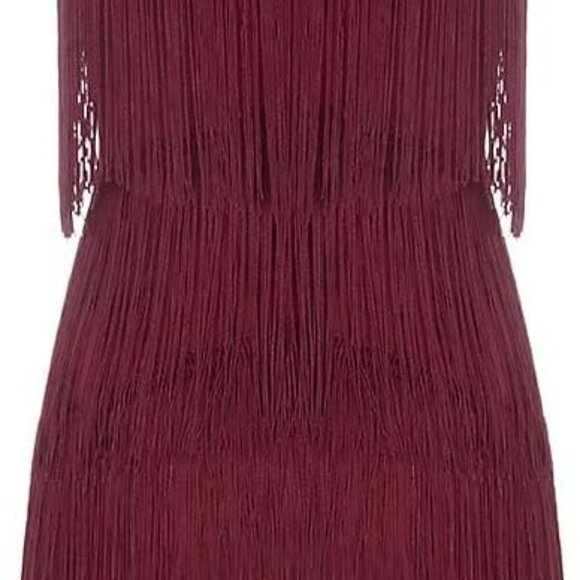 Women 1920s Gatsby Flapper Dress Open Back Fringe Cocktail Party Outfit - Picture 6 of 6